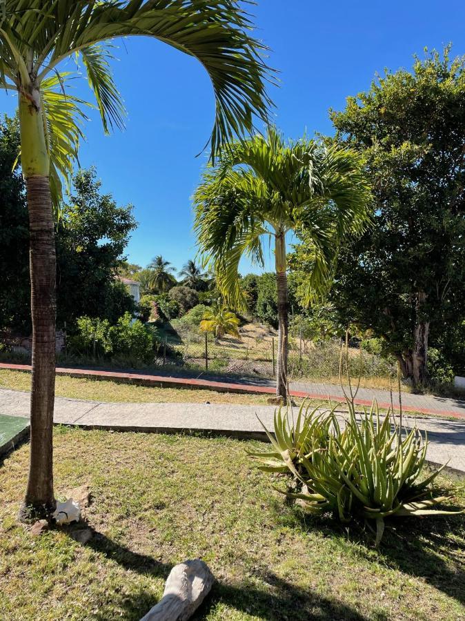 Jardin Sur Mer Terre-De-Haut Exterior photo